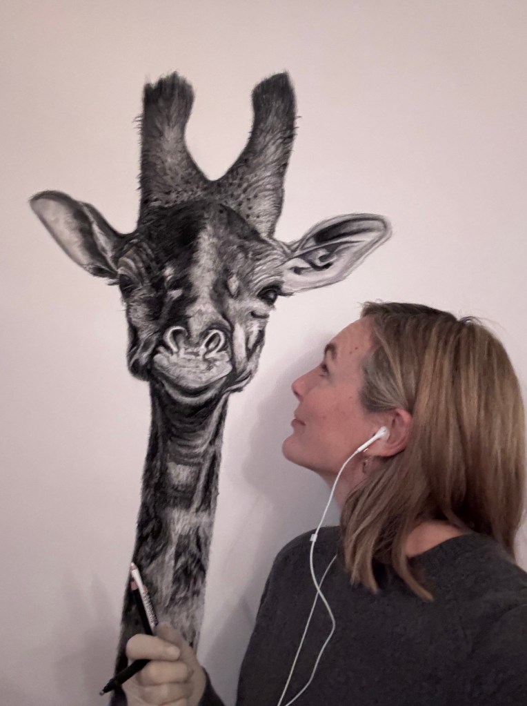 Masai Giraffe, charcoal on paper