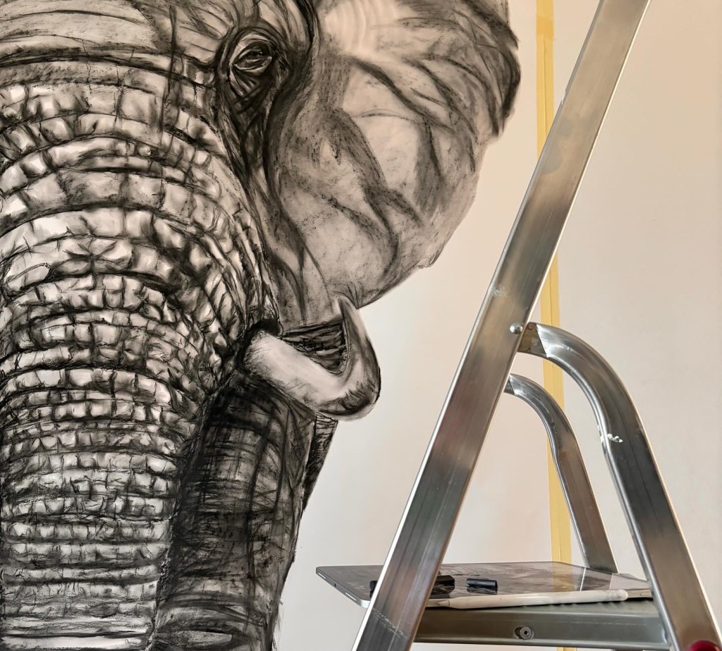 A detailed charcoal drawing of an elephant's face on a wall, with a ladder positioned nearby.